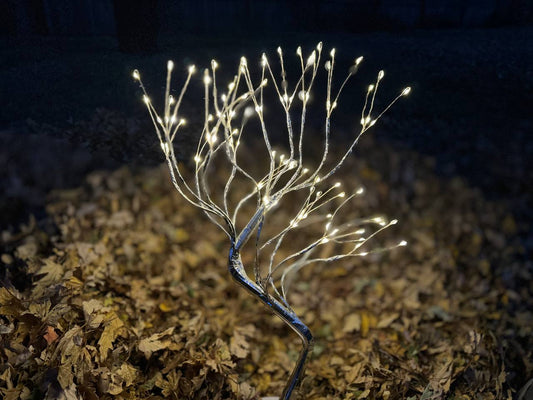 Light Tree